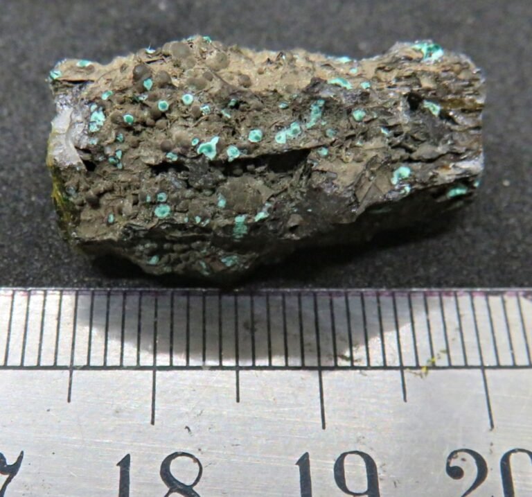 Rosasite and cerussite from the Block 14 Mine, Broken Hill (stock code B4minD21)