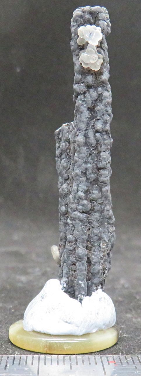 Smithsonite from the Proprietary Mine, Broken Hill (stock code B6F0122)