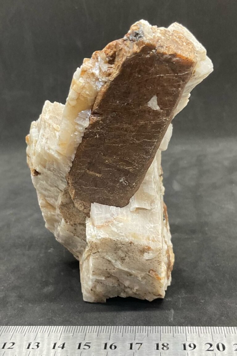 Bustamite in Calcite, Broken Hill (stock code FA10B236)