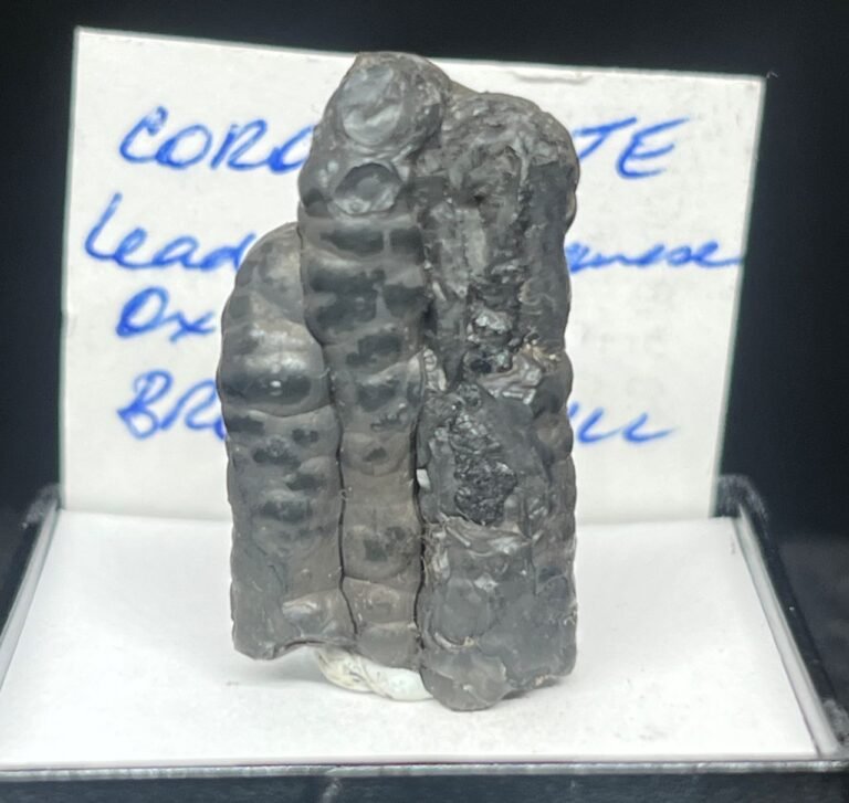 F1103L26L Coronadite Triple